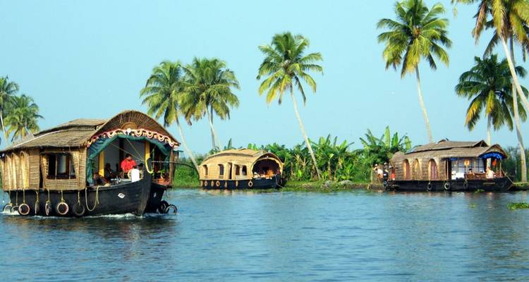 Mehrere traditionelle Kettuvallam-Hausboote gleiten unter klarem Himmel entlang der palmenumsäumten Backwaters von Kerala.