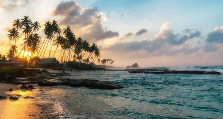Tropischer Strand bei Sonnenuntergang mit hohen, schräg stehenden Palmen und farbenfrohem Himmel über den Wellen