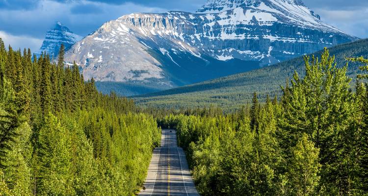 Scenic mountain road winding through dense evergreen forest with dramatic snowy peaks above.