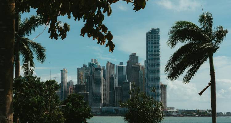 Encadrée par des palmiers, les gratte-ciel élégants du front de mer de Panama City s'élancent vers un ciel bleu éclatant.