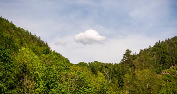 Verdant forested hills frame a single puffy white cloud against a blue sky.