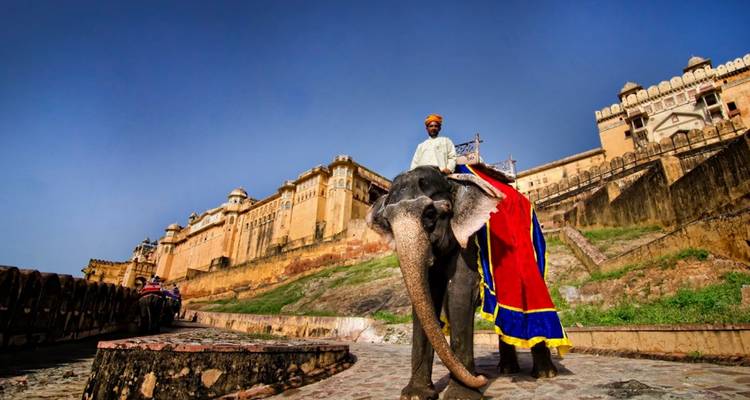Versierde olifant met mahout voor de imposante muren van het Amber Fort