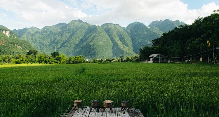 Expansive emerald rice field with towering green mountains under scattered clouds