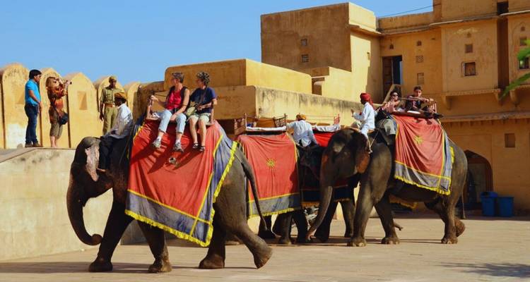 Les touristes chevauchent des éléphants richement ornementés sous les remparts de grès du fort d'Amber.