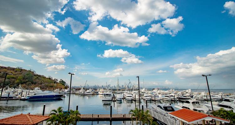 Marina remplie de yachts blancs sous un ciel bleu éclatant avec des nuages dispersés et la ligne d'horizon de la ville au loin