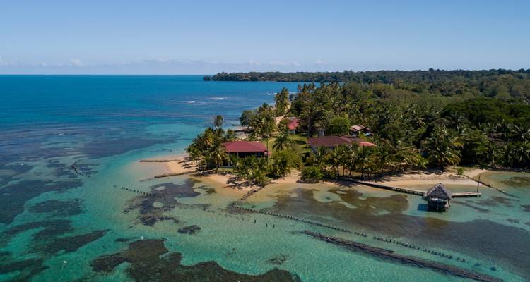 Vue aérienne d'une petite île tropicale avec des palmiers, des plages de sable blanc et une eau turquoise cristalline dans la mer des Caraïbes.