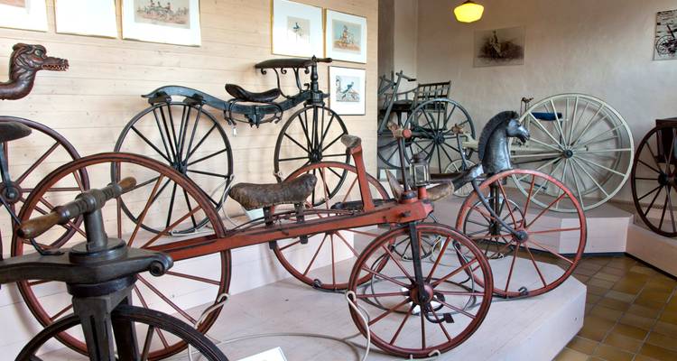 Exposition muséale intérieure de bicyclettes anciennes et de vélocipèdes primitifs sur des socles en bois.