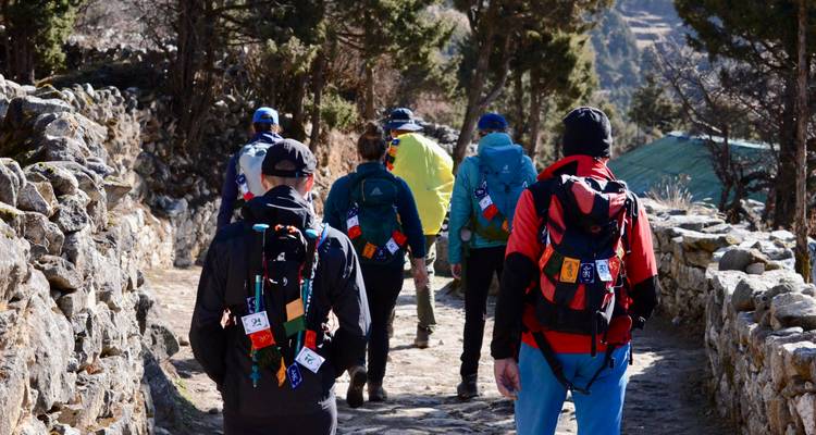 Gruppe von Trekkern, die einen felsigen Himalaya-Pfad zwischen Steinmauern und Kiefern entlanggehen.