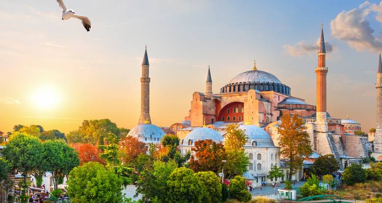 Hagia Sophia iconique au coucher du soleil entourée d'arbres d'automne avec une mouette qui plane au-dessus.