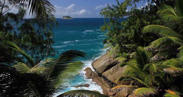 Côte rocheuse des Seychelles encadrée par de denses palmiers avec une minuscule île au large sous un soleil radieux.