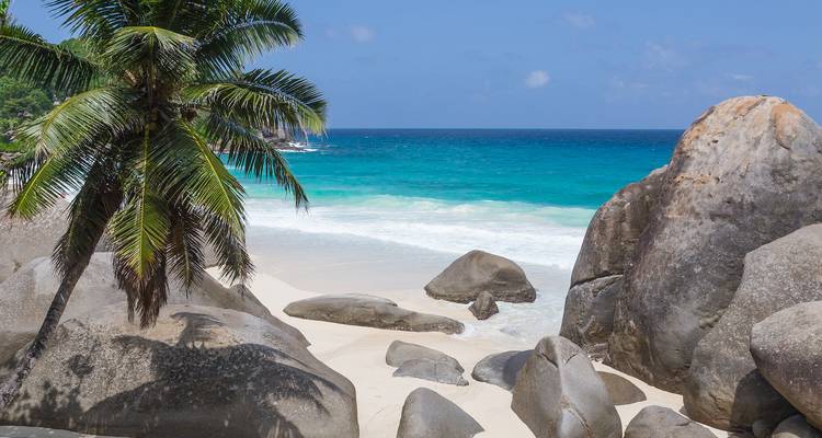 Plage tropicale de sable blanc encadrée par des rochers de granit et un palmier penché, avec une eau turquoise éclatante sous un ciel bleu clair.