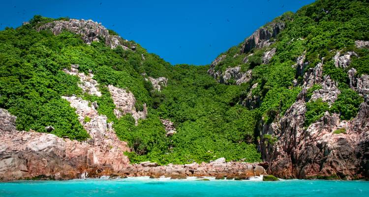 Des falaises d'un vert dense plongent dans des eaux turquoise éclatantes dans une crique tropicale préservée.