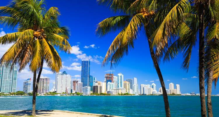 Palm trees frame a vivid blue skyline of modern high-rises across turquoise water.