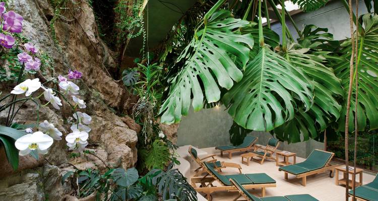 Espace spa intérieur avec des chaises longues entouré d'un mur de roche naturelle et de grandes feuilles tropicales.