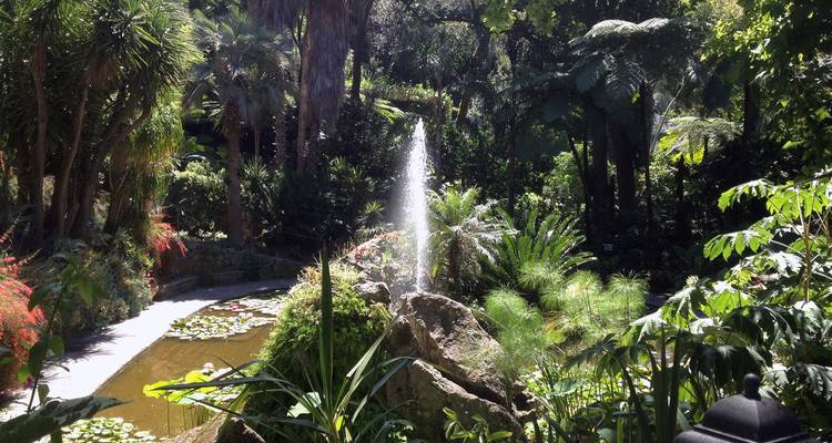 Üppiger botanischer Garten mit einem Springbrunnen, der zwischen dichten tropischen Pflanzen und Palmen sprüht.