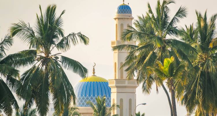 Blaugedeckelte Moschee-Kuppel und schlankes Minarett, die zwischen üppigen Palmen im weichen Licht hervorschauen.