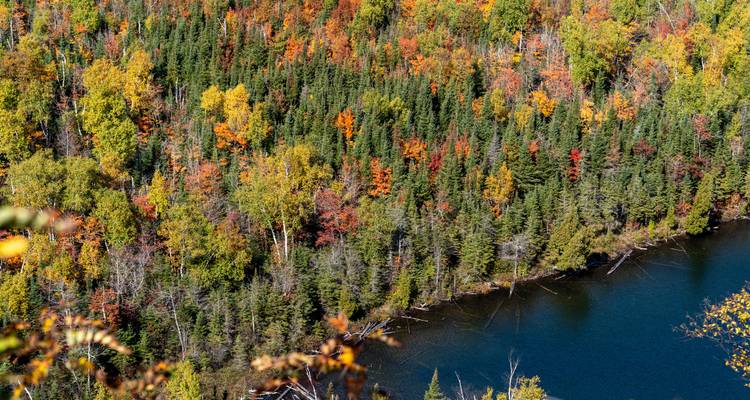 Forêt d'automne colorée composée de bois durs mixtes et de pins bordant un lac bleu foncé vue d'en haut