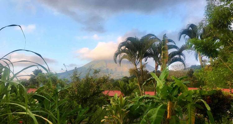 Des plantes tropicales luxuriantes encadrant un volcan conique partiellement couvert de nuages à distance.