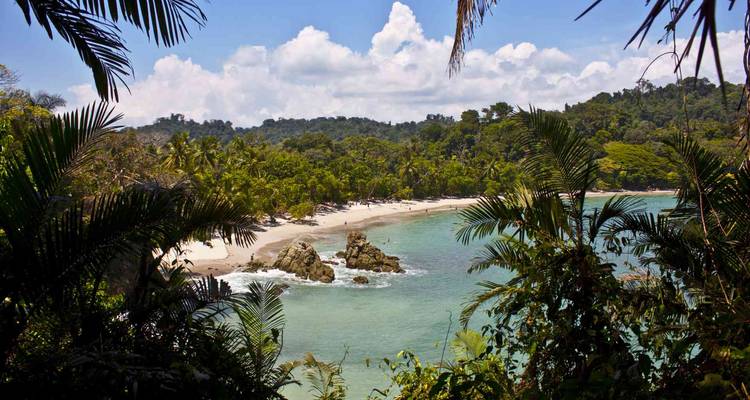 Plage en croissant isolée bordée par une eau turquoise et une jungle dense dans un parc national.
