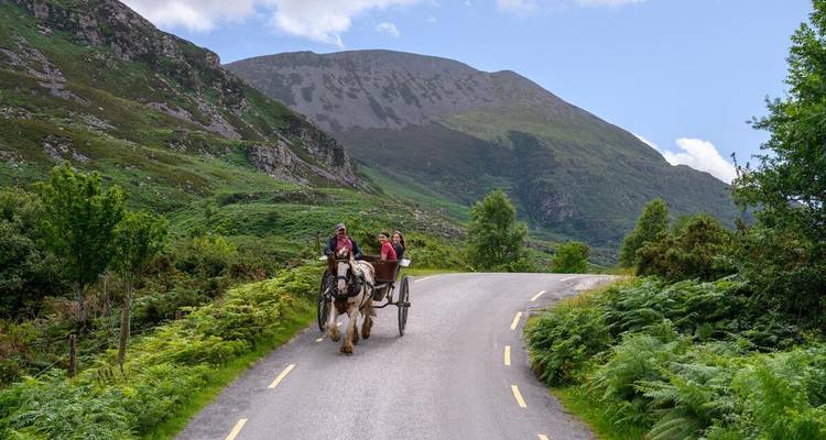 Coche de turismo tirado por caballos llevando turistas por una sinuosa carretera de montaña bordeada de helechos en Killarney