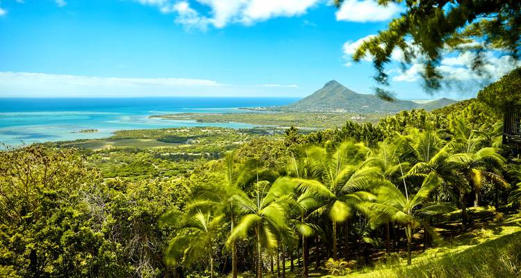 Panoramic vista of lush palm forest, lagoons and a volcanic peak looking toward the Mauritian coast