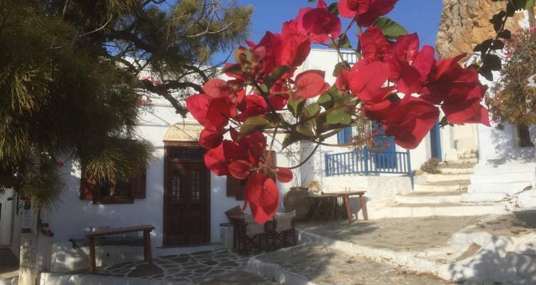 Las flores rojo brillante de la buganvilia enmarcan una casa cicládica encalada con persianas azules y escalones de piedra bajo un cielo despejado.