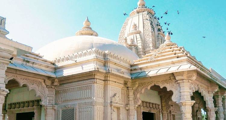 Weiße Marmortempel-Kuppeln und eine zentrale Shikhara erheben sich gegen einen klaren blauen Gujarat-Himmel, während Tauben kreisen.