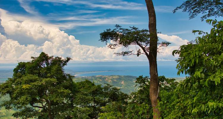 Lush forested slope framing a distant view over a vast blue lake beneath a vibrant sky with cumulus clouds.