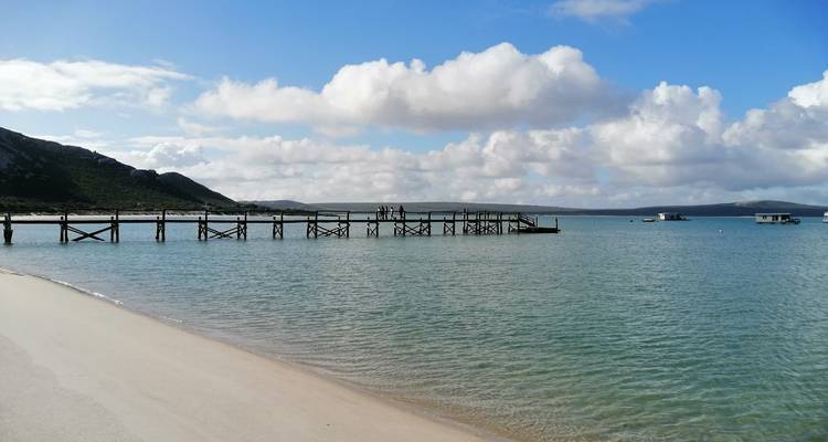 Long wooden jetty stretching over clear blue water towards a distant horizon under fluffy clouds.