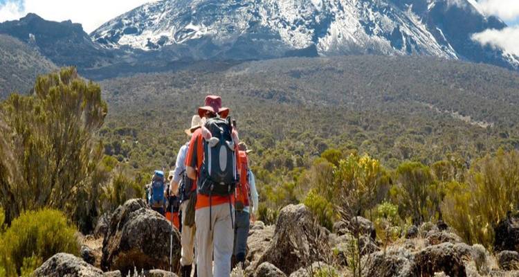 Une file de trekkeurs vêtus de couleurs vives randonnent dans une lande rocheuse accidentée en direction du sommet enneigé du Kilimandjaro sous un ciel bleu.