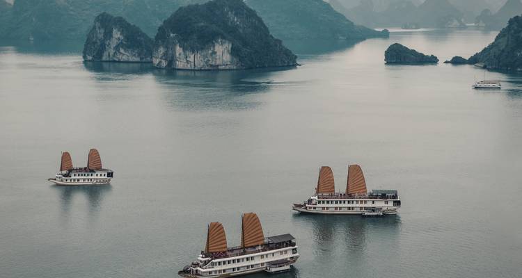 Traditional cruise junks with brown sails gliding through the emerald waters of Halong Bay amid limestone islands.