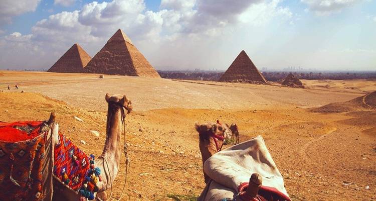 Los camellos ensillados descansan en las arenas doradas del desierto con las pirámides de Giza elevándose en el horizonte bajo nubes dispersas.