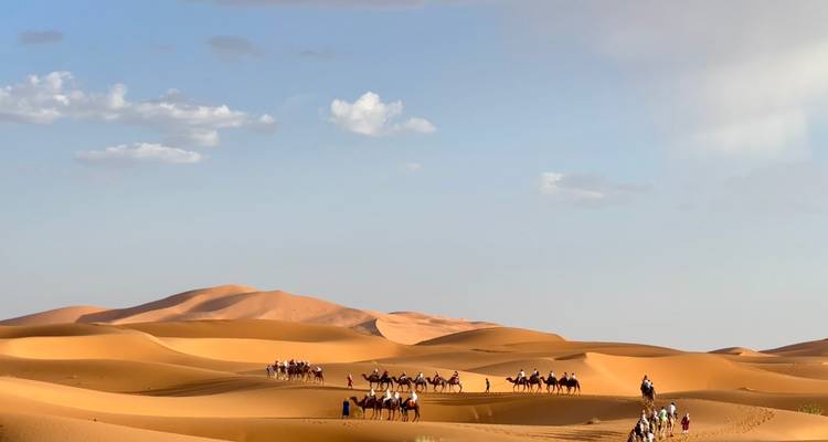 Distant lines of camel riders traverse sweeping golden dunes beneath a pale sky.