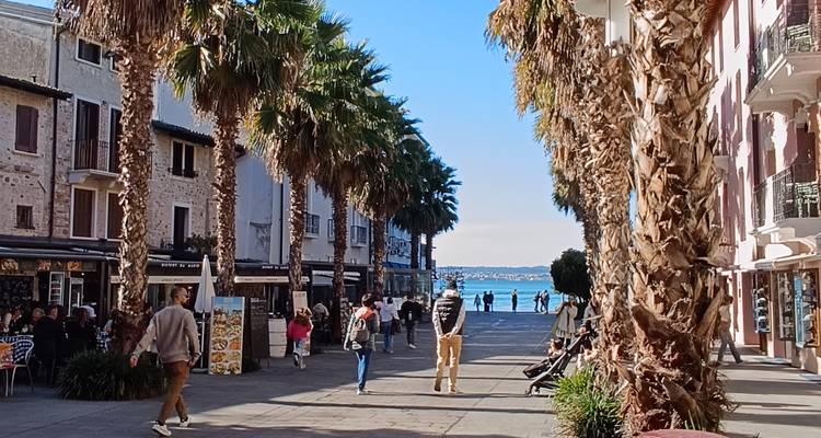 Calle peatonal bordeada de palmeras que conduce a las aguas azules del Lago de Garda con turistas paseando