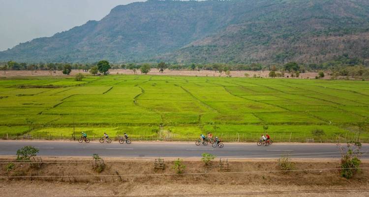 Longue file de cyclistes passant devant des rizières d'un vert éclatant avec des montagnes brumeuses en arrière-plan.