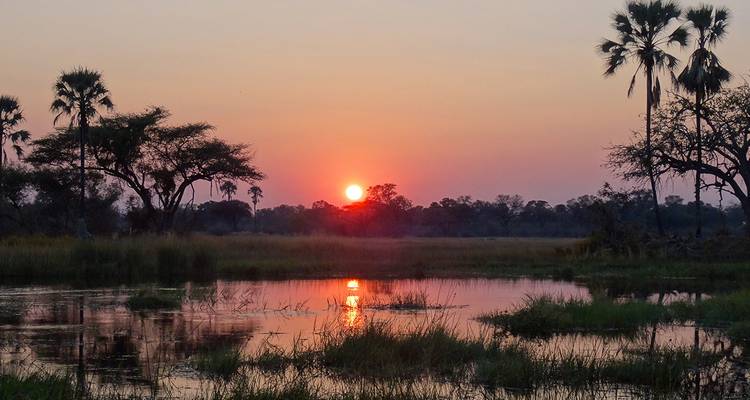 Der feurig orange Sonnenuntergang spiegelt sich in den ruhigen Feuchtgebieten wider, die mit Palmen durchsetzt sind, im Okavango-Delta.