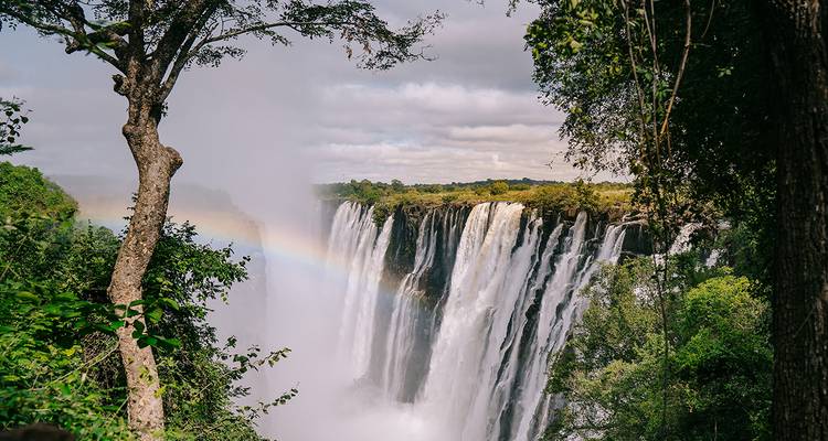 Die mächtigen Victoriafälle stürzen in eine neblige Schlucht, wobei sich ein Regenbogen durch die Gischt spannt.