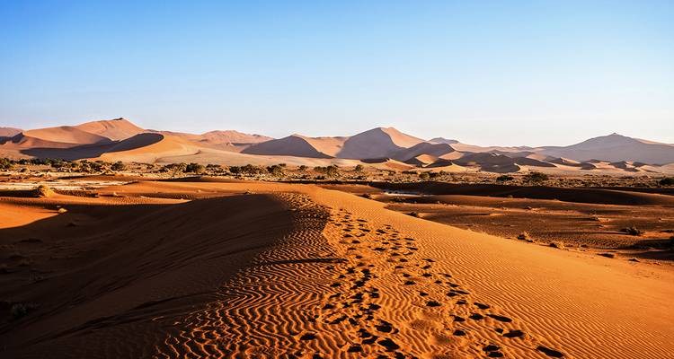Die endlosen roten Dünen der Namib-Wüste leuchten im flachen goldenen Licht mit Fußabdrücken entlang eines Grats.