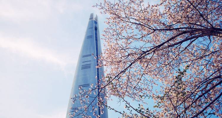 La Lotte World Tower s'élève dans le ciel encadrée par de délicates fleurs de cerisier rose.