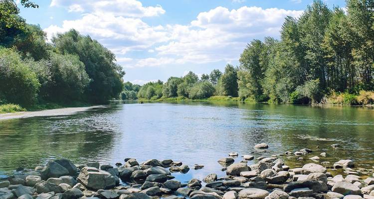 Rustige rivier omzoomd door bladrijke bomen met verspreide stenen op de voorgrond