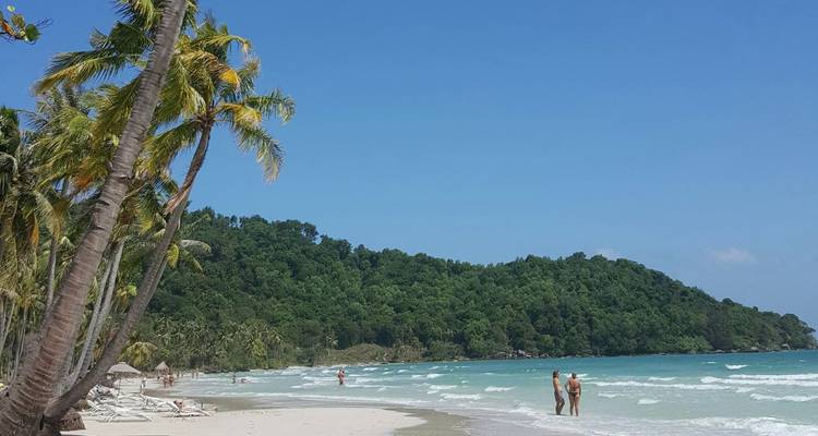 Zonnig tropisch strand met scheefstaande palmbomen en zwemmers in turquoise golven