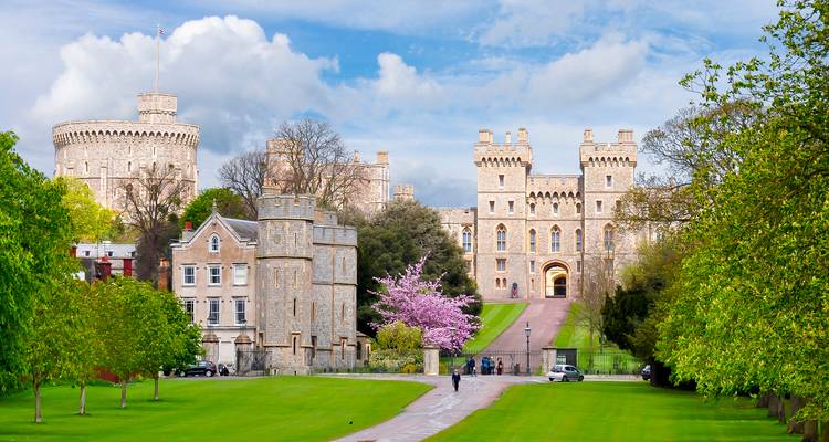 La Long Walk menant au Château de Windsor encadrée par des arbres verdoyants et des fleurs roses.