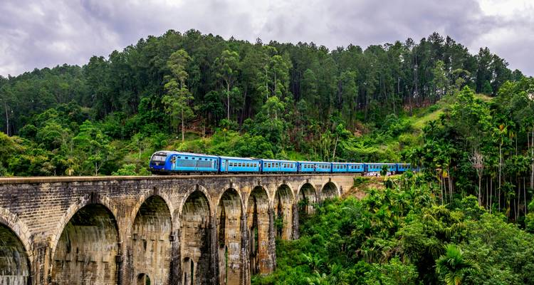 Blauer Personenzug, der die ikonische Nine Arches Bridge durch dichten Wald überquert