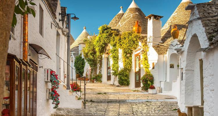 Ruelle de pierre charmante avec des maisons en trulli emblématiques aux toits coniques et des pots de fleurs vibrants à Alberobello.