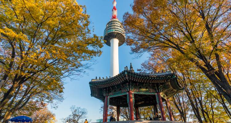 Perspective diurne de la N Seoul Tower encadrée par un feuillage automnal jaune et un pavillon historique.