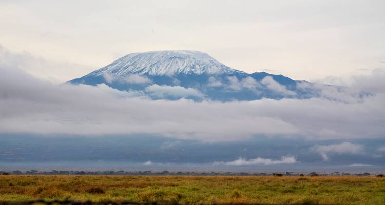 De vastes prairies s'étendent sous le Mont Kilimandjaro couvert de neige, partiellement voilé par des couches de nuages.