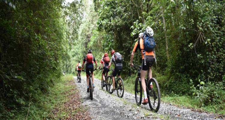 Les cyclistes chevauchant des vélos tout terrain le long d'un sentier de jungle accidenté entouré d'une forêt tropicale dense.
