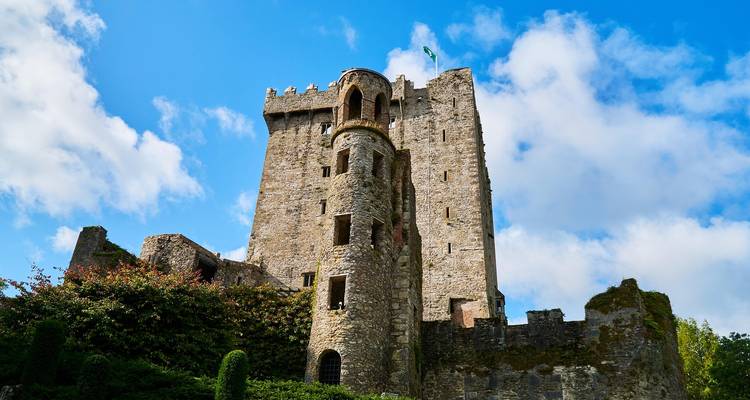 Le château de Blarney en pierre médiévale s'élevant contre un ciel bleu éclatant, encadré par la verdure