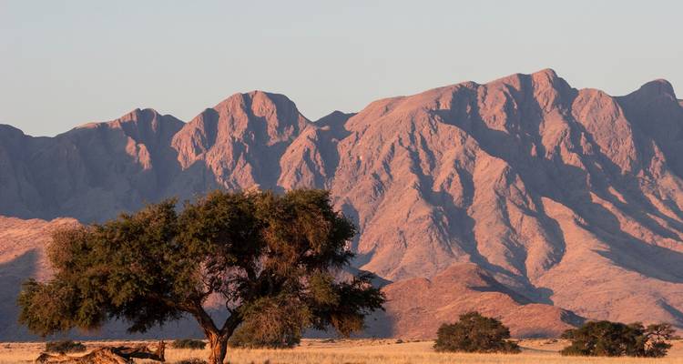 Cadena montañosa escarpada e iluminada por el sol en Namibia que se eleva sobre pastizales salpicados de acacias al atardecer.