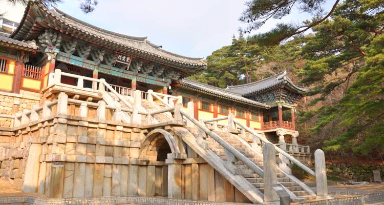 Templo budista coreano histórico con aleros de madera ornamentada y una gran escalinata de piedra rodeada de pinos